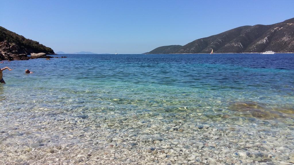 דירות ואסיליקי Delfini Bay Retreat מראה חיצוני תמונה