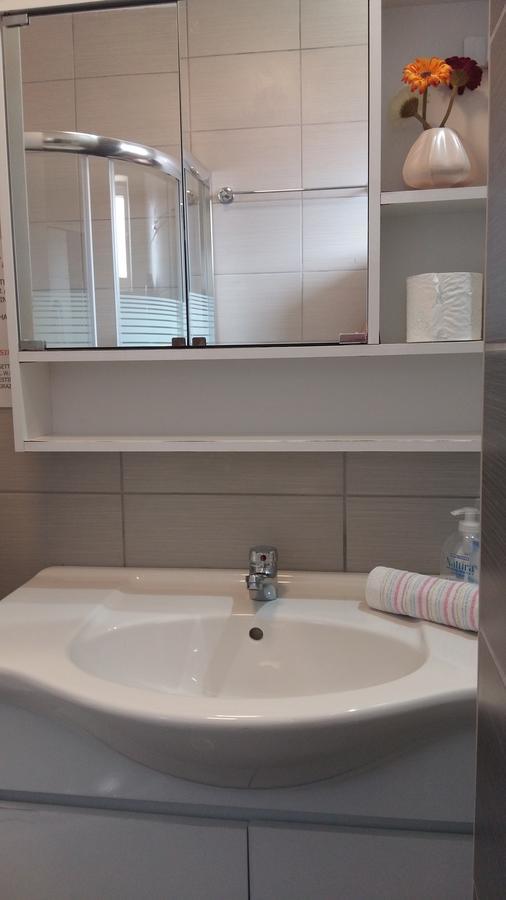 דירות ואסיליקי Delfini Bay Retreat מראה חיצוני תמונה